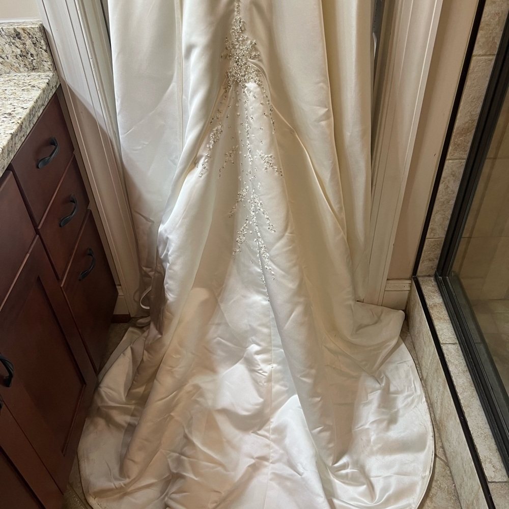 Maggie Sottero Elegant Strapless Wedding Gown - Picture 7 of 8